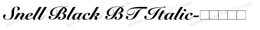 Snell Black BT Italic字体转换